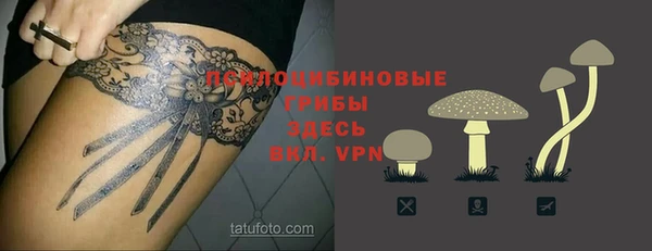 твердый Няндома