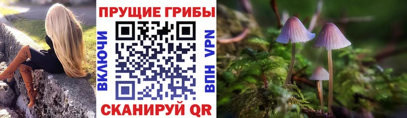 Псилоцибиновые грибы мицелий  Чёрмоз 